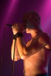 CRW_8950.jpg
